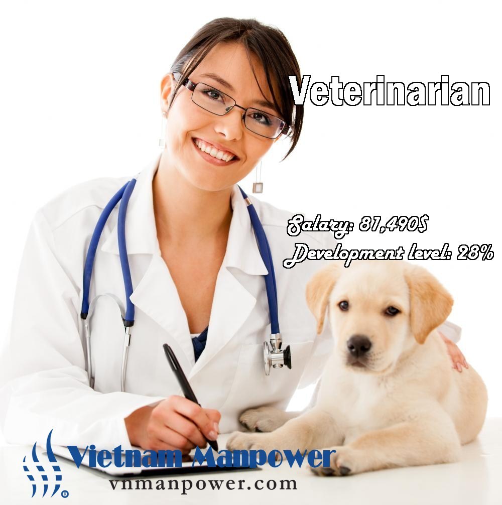 Top 10 Hottest Jobs In The World VMST Blog